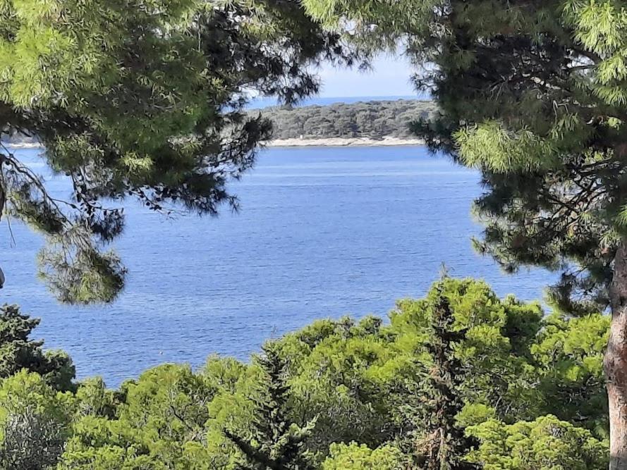 Villa Malisko Hvar Town Exterior photo